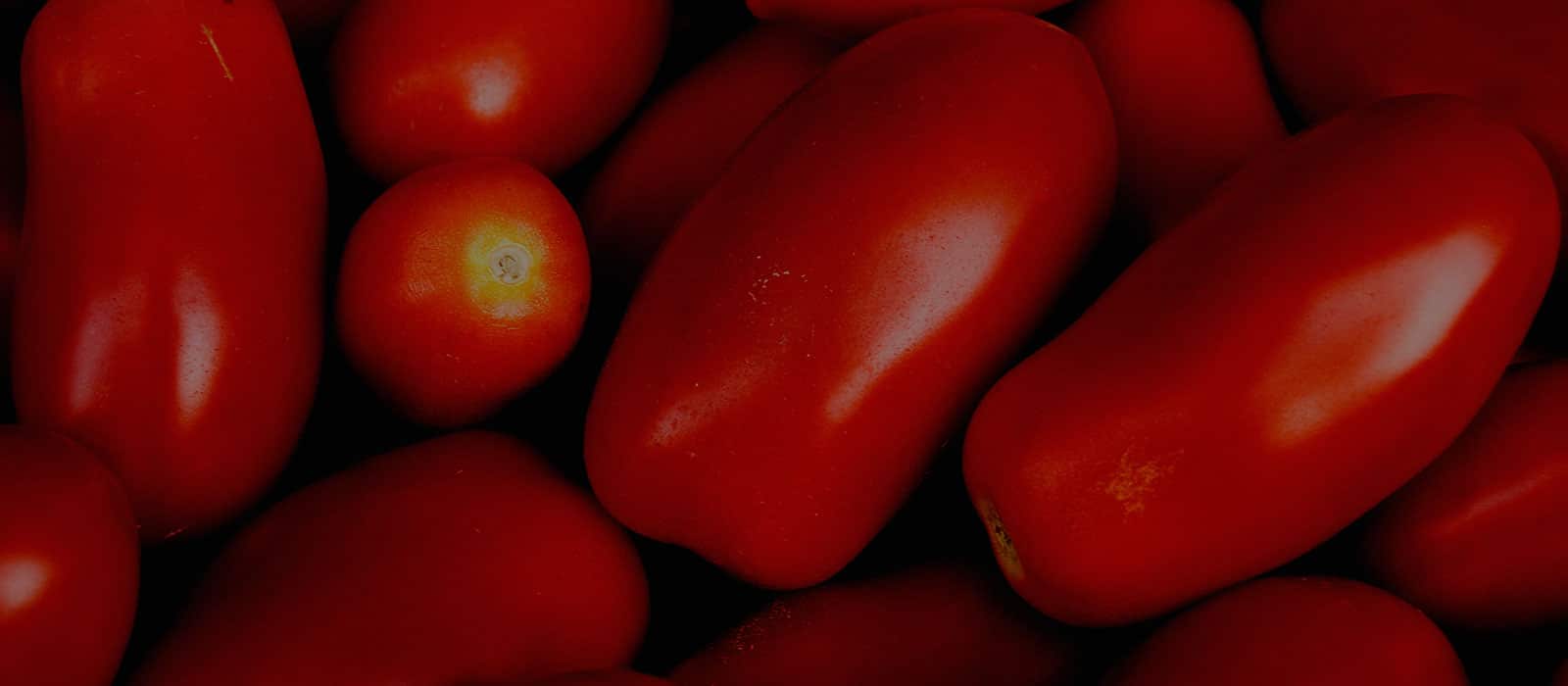 Pommarola alla Napoletana – Neapolitan Tomato Sauce